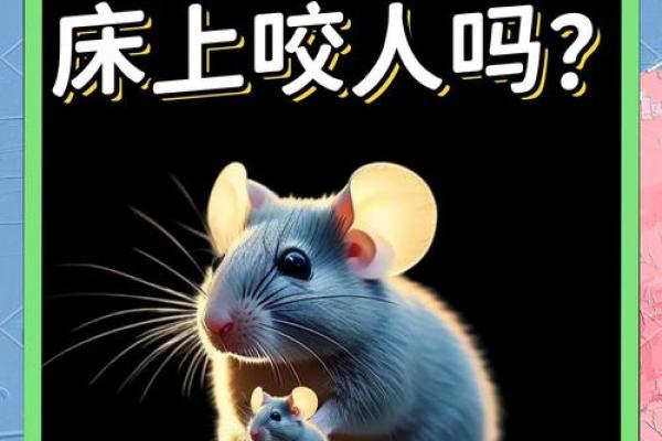 梦见老鼠跳到身上是什么征兆