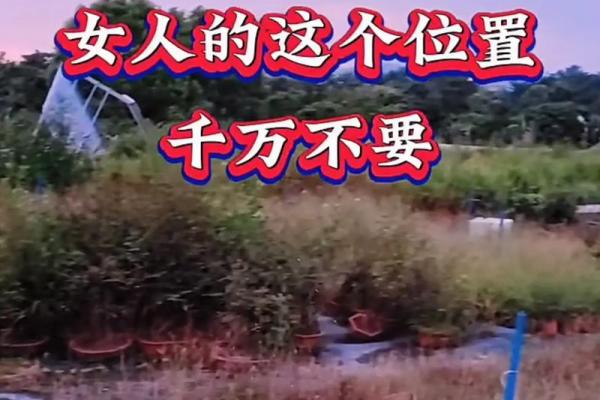 已婚女人梦见异性摸自己的身体
