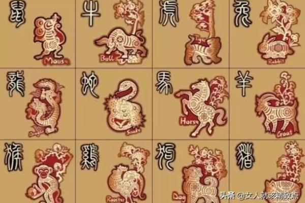 年老体弱是什么生肖