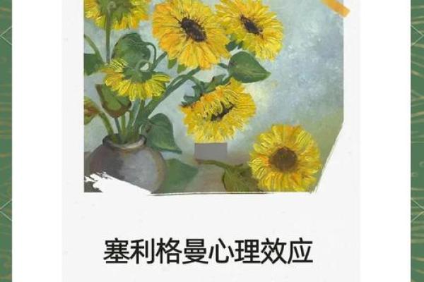 赛可心理测试(赛可心理测试政治)
