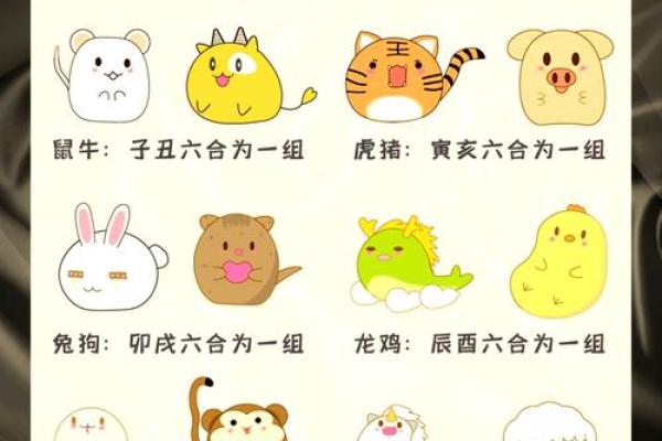 鸡和什么属相相冲