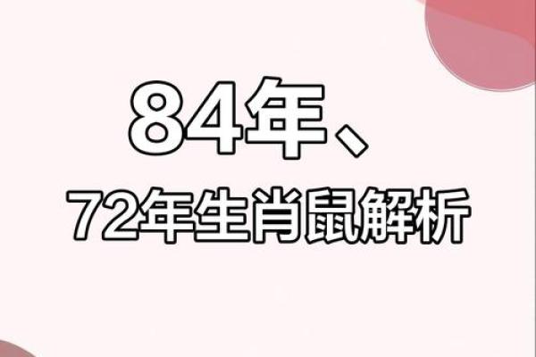 84年属什么的生肖