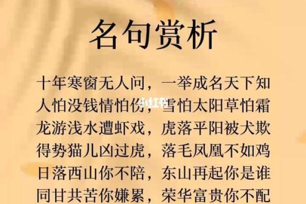 十年寒窗的动物代表什么生肖