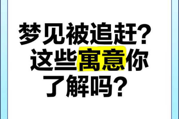 梦见追小偷是什么意思