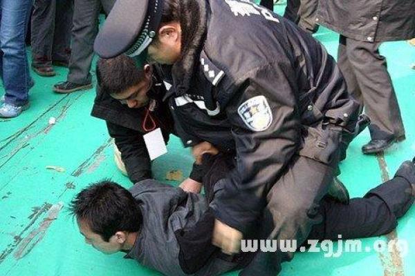 梦见追小偷是什么意思