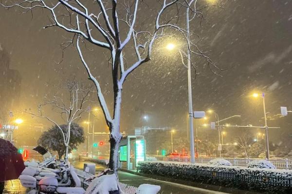 昨晚梦见下雪是什么征兆