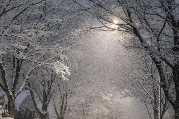 梦见下雪有雪花飘落是什么预兆
