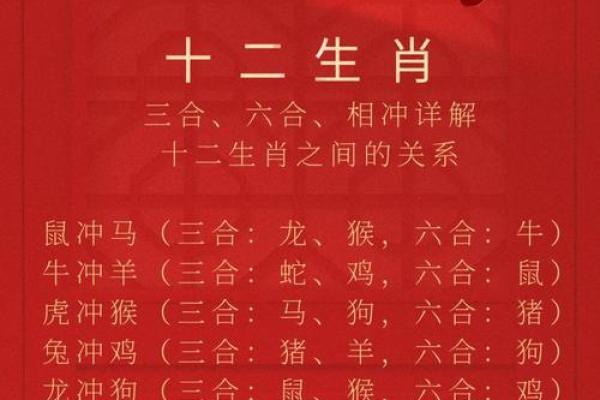 子午相冲三合出什么生肖