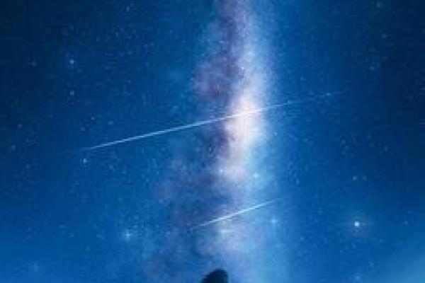 洞察力和分析力很强的星座(超强的分析洞察力)