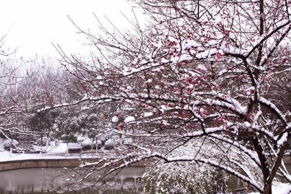 梦到下雪了是什么意思周公解梦