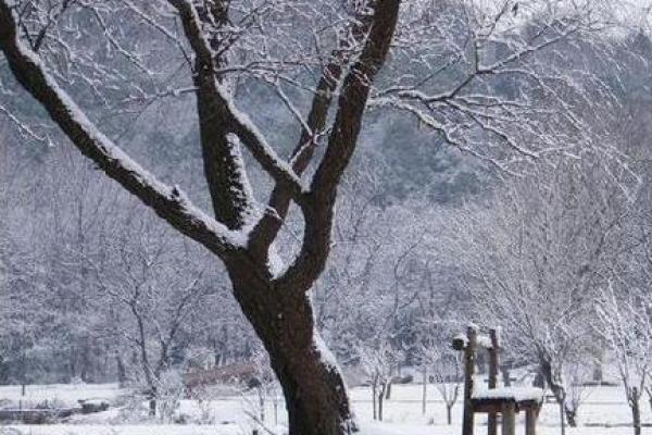 梦到下雪了是什么意思周公解梦