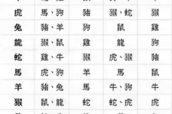 今年什么生肖相冲