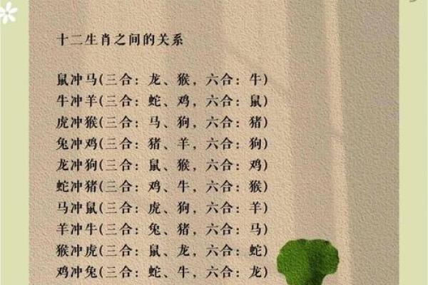 今年什么生肖相冲
