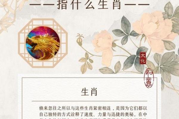 地头蛇指什么生肖