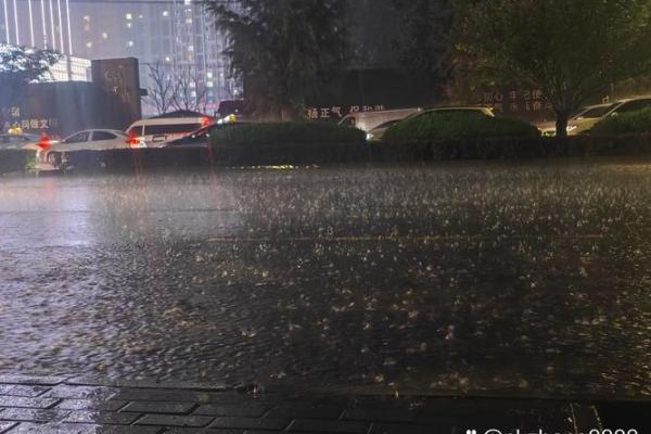 梦见屋外下雨是什么征兆