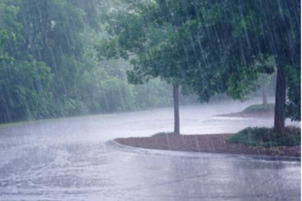 梦见外面下雨
