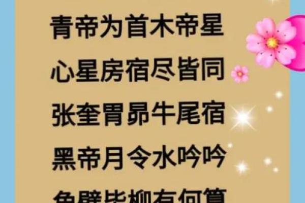 风水玄学五行属什么(风水玄学是什么)