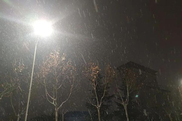 梦见外面下雪了