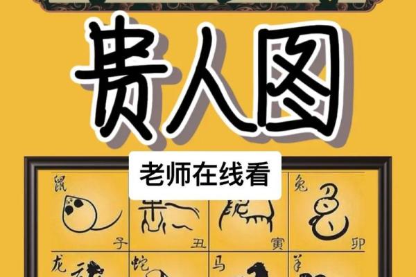 17年属什么生肖年