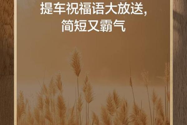 3月份提车好日子(提车什么日子好)
