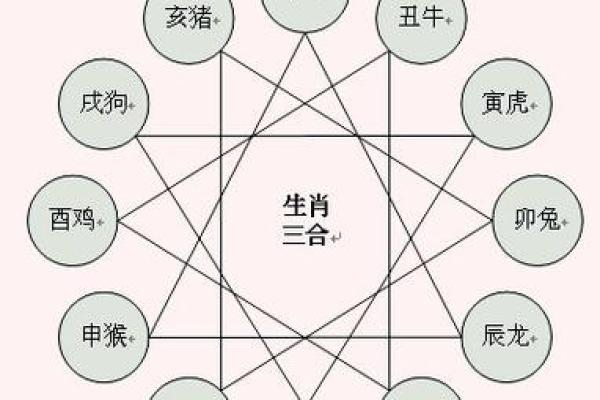 今日相冲生肖是什么