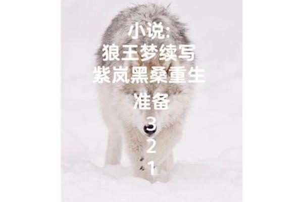 梦到被狼追