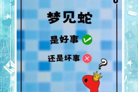 梦见家里有蛇然后抓蛇