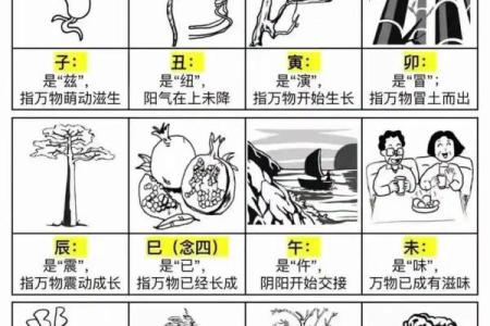 八难三灾是什么生肖