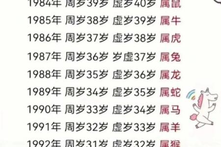 2012属什么生肖年