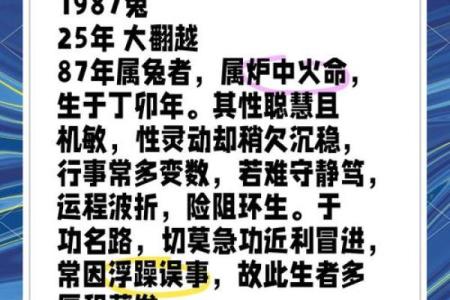 1987年属什么生肖属兔