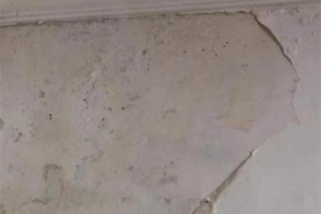 梦见房子漏雨水了是什么征兆