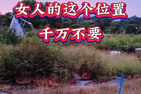已婚女人梦见异性摸自己的身体