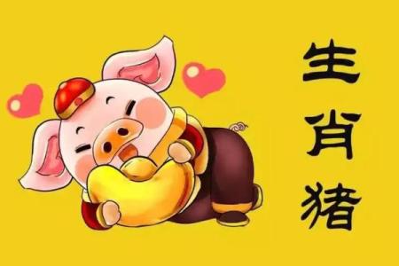 1995年什么生肖