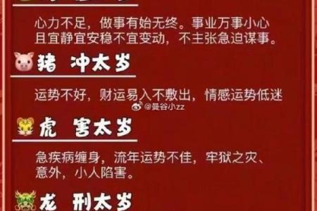 百年世事总依稀是什么生肖
