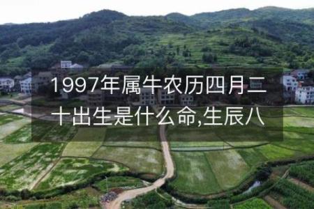 1997年出生属什么生肖