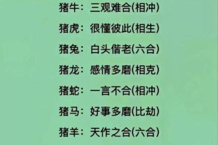 今年与什么生肖相冲