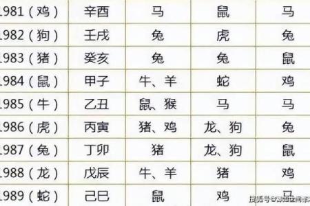 91年属什么生肖配对