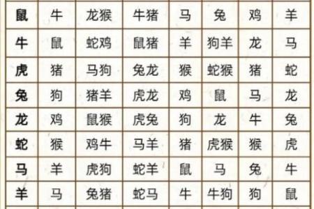 属兔和什么属相相冲