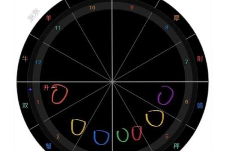 星盘分析星座屋(星盘分析解读免费)