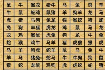 生肖鼠和什么生肖相冲