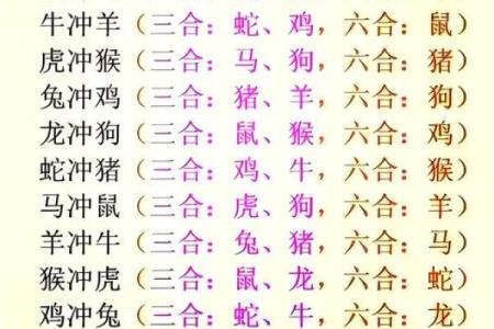今日相冲生肖是什么