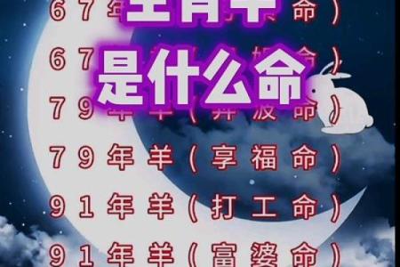 2003年属什么生肖