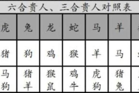 子午相冲见零码指什么生肖