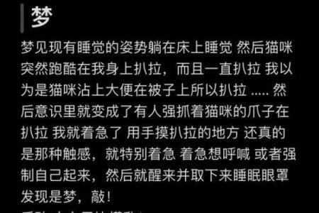 总梦到鬼是什么征兆