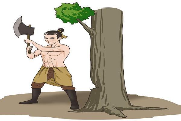梦到砍树