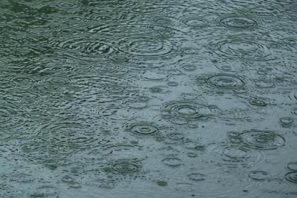 梦到下雨天