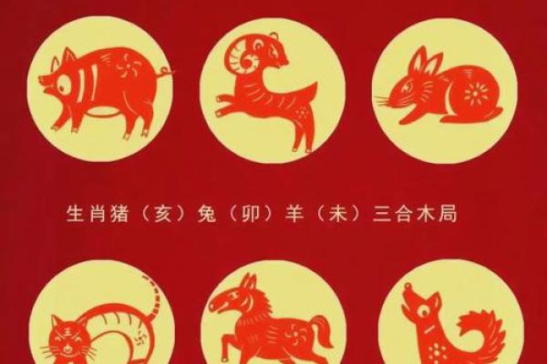 20楼风水与属相(20楼风水与属相有关吗)
