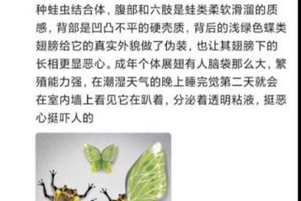 梦见身上全是虫子