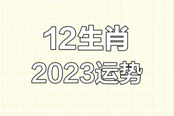 年是什么年2023年属什么生肖