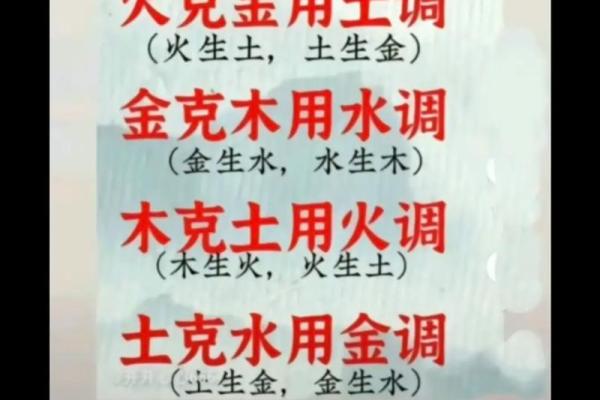 戍代表什么生肖